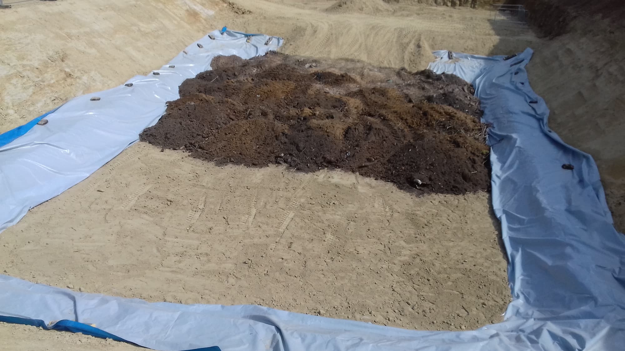 Japanese Knotweed Excavation Using Cell Burial Technique at Rowley ...