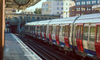 Preventing Buddleia Regrowth on Railway Lines for the Long Term