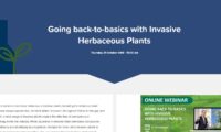 Going Back-to-Basics with Invasive Herbaceous Plants: Upcoming Webinar for Industry Professionals