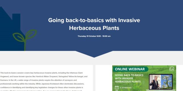 Going Back-to-Basics with Invasive Herbaceous Plants: Upcoming Webinar for Industry Professionals